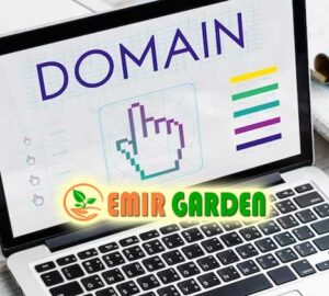domain
