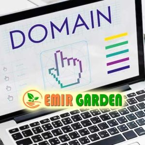 domain