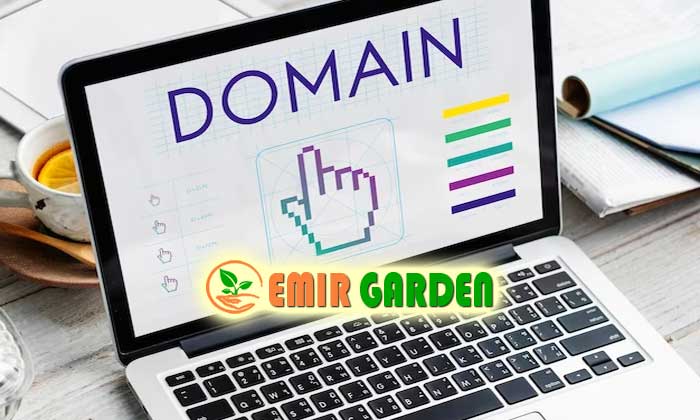 domain