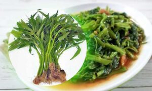 kangkung