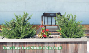 taman rumah minimalis di lahan sempit
